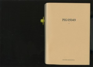 Pig book cover