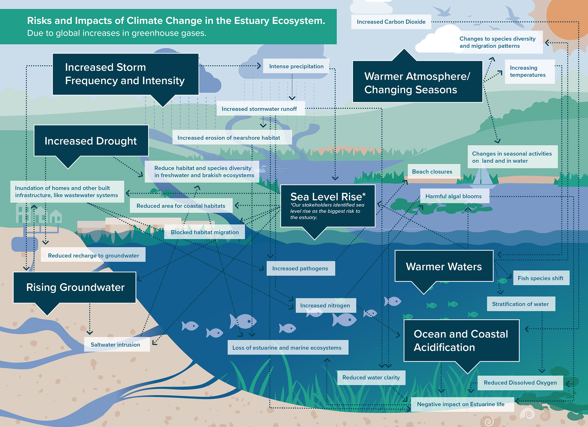 Supporting the Peconic Estuary – Background Stories