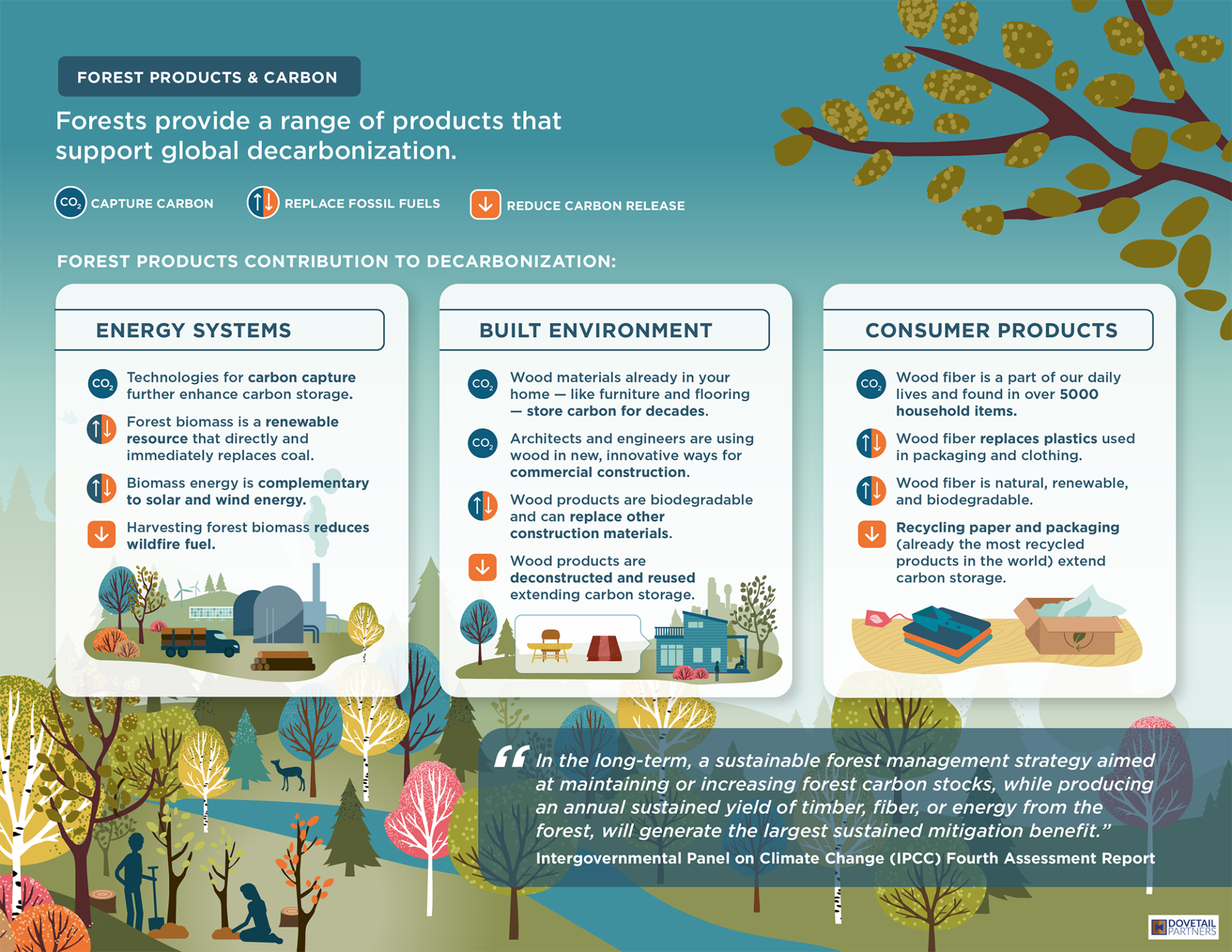 Infographic showing how forests support global decarbonization