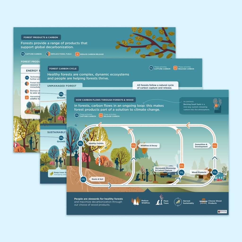 Infographics created for Dovetail Partners