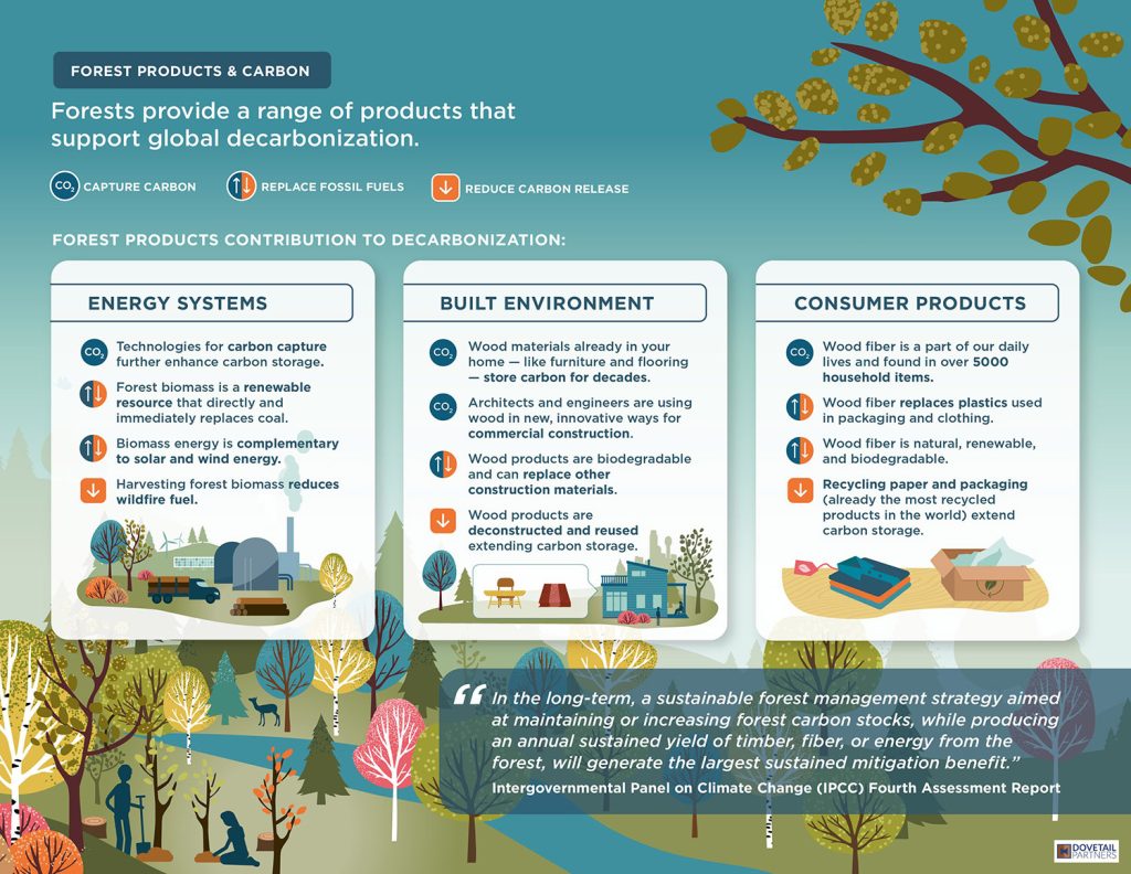Infographic that lists how forests provide products that support global decarbonization