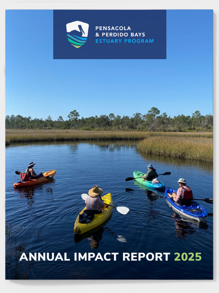 PPBEP Annual Report cover for 2025