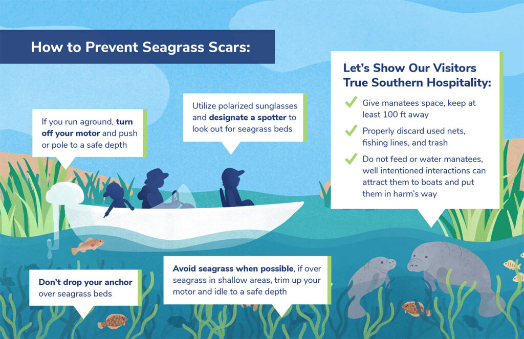 Illustrated infographic about preventing seagrass scars