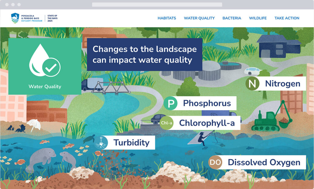 Illustration showing water quality factors that are tracked on the State of the Bays website