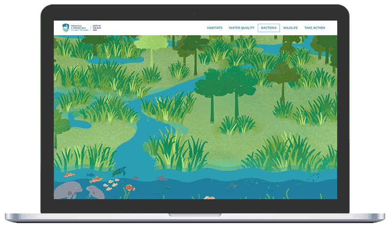 Text appearing through animated transition on an illustrated background