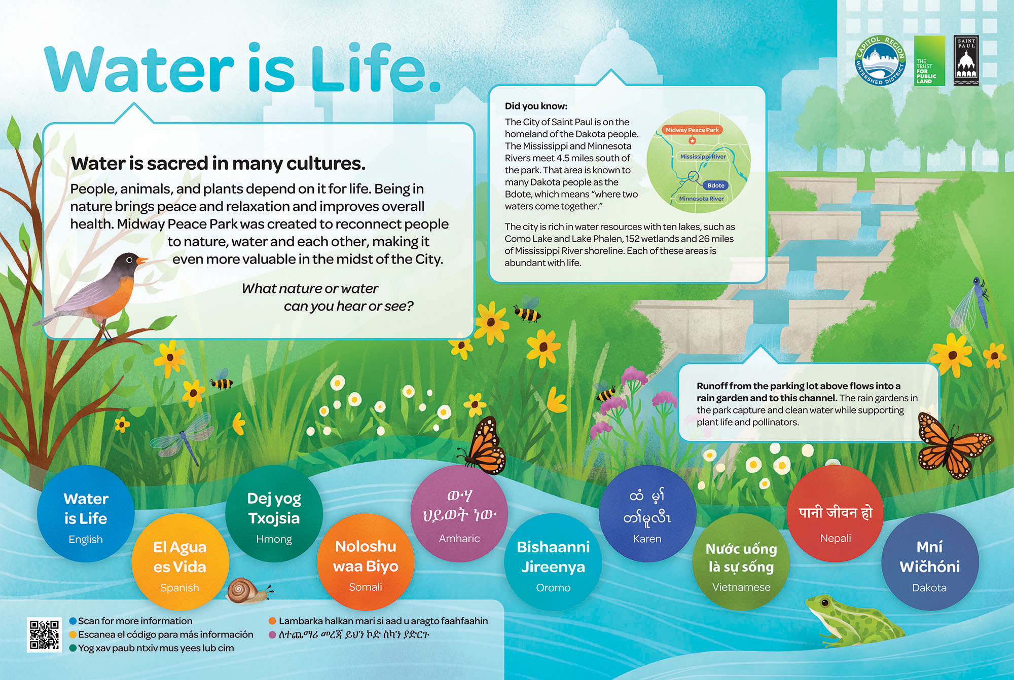 Colorful illustration of the Midway Peace Park ecosystem with text detailing how water is important to Minnesota communities